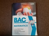 BAC MATEMATICA 2019 RADU GOLOGAN MIHAELA BERINDEANU
