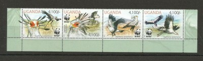 UGANDA 2012 WWF FAUNA PROTEJATA PASARI foto