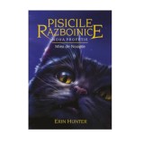 Pisicile Razboinice - Noua profetie. Cartea a VII-a: Miez de noapte, Erin Hunter, Galaxia Copiilor