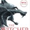 The Last Wish: Introducing the Witcher