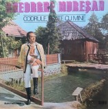 Gheorghe Muresan &ndash; Codrule, frate cu mine