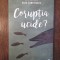 CORUPTIA UCIDE ? , editor coordonator OANA ZAMFIRACHE , 2019