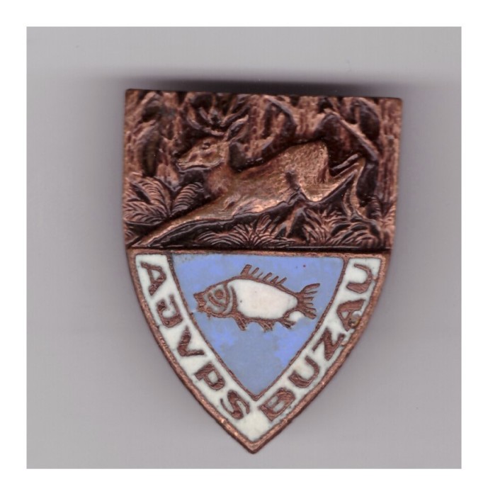 Insigna AJVPS Buzau