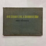 Horia Dumitrescu - Atlas citoarhitectonic al creierului de cobai