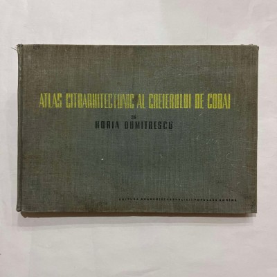 Horia Dumitrescu - Atlas citoarhitectonic al creierului de cobai foto