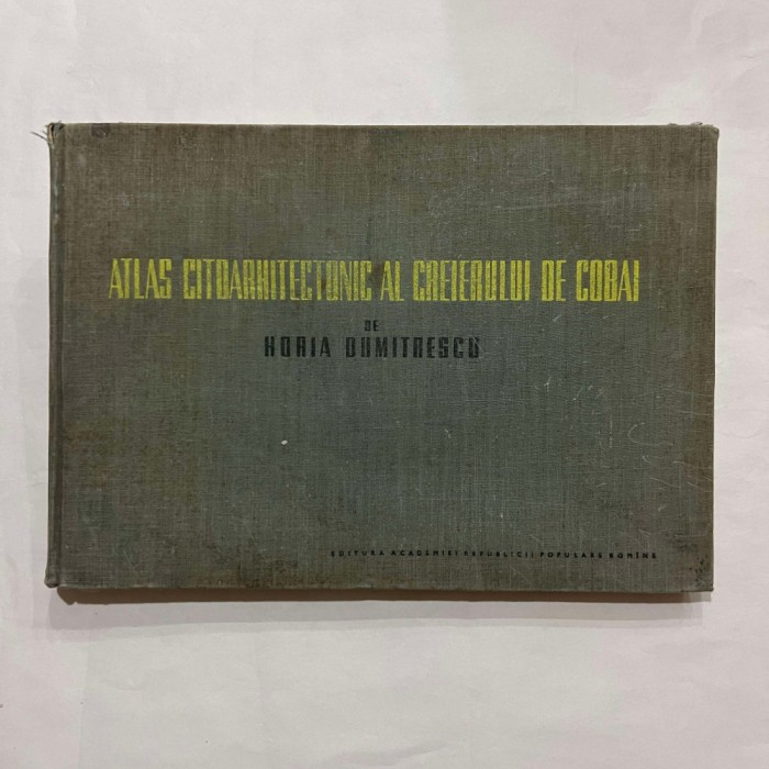 Horia Dumitrescu - Atlas citoarhitectonic al creierului de cobai