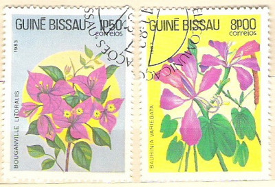 Guinee Bissau 1983 Flowers A.15 foto