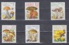 A12 S4 3 - Timbre foarte vechi - Fosta Germanie Democrata - DDR - ciuperci, Germania, Flora, Nestampilat