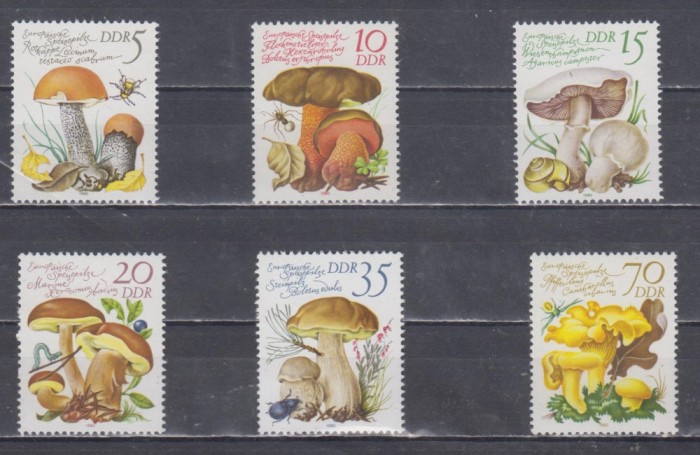 A12 S4 3 - Timbre foarte vechi - Fosta Germanie Democrata - DDR - ciuperci