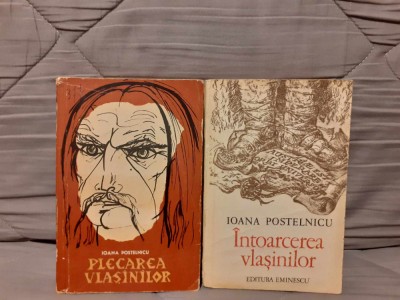 PLECAREA/INTOARCEREA VLASINILOR-IOANA POSTELNICU foto