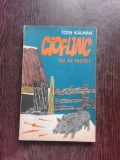 CIOFLINC, PUI DE MISTRET - TOTH KALMAN