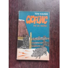 CIOFLINC, PUI DE MISTRET - TOTH KALMAN