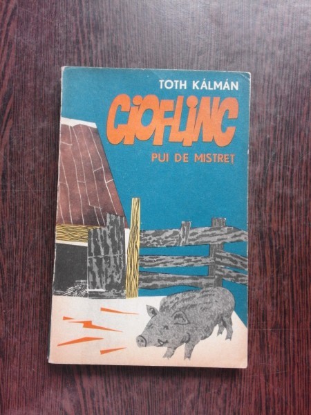 CIOFLINC, PUI DE MISTRET - TOTH KALMAN