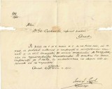 A4593N Episcopul Ioan Ignatie Papp al Aradului, numire scrisă olograf pentru Gheorghe Ciuhandu, 1920, Arad