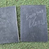 Plumb - Bacovia cu linogravuri semnate
