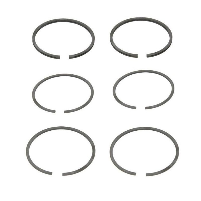 Set segmenti compresor SM Westinghouse