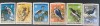 PC97 - COMORES 1971 Fauna/ Pasari, serie MNH, 6v, Nestampilat