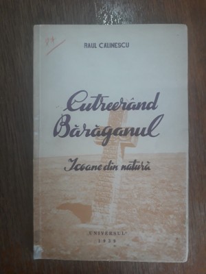 Cutreerand Baraganul - Raul Calinescu / R8P4F foto