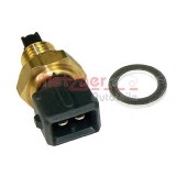 Senzor,temperatura aer admisie VW VENTO (1H2) (1991 - 1998) METZGER 0905061