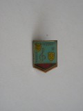 QW9 J 80 - Insigna - tematica pionieri - Pionier interpret locul II, Romania de la 1950