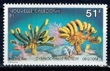 New Caledonia 1988 - Fosile vii, serie neuzata foto