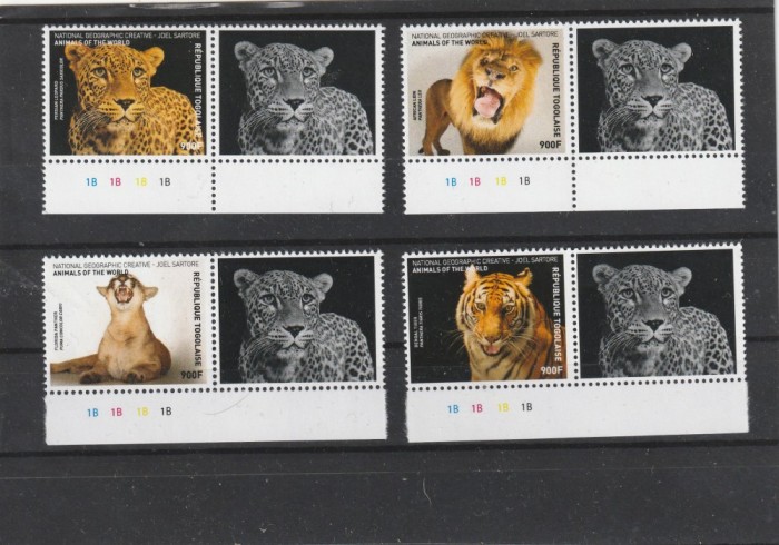 Togo 2016 - Fauna , Animalele lumii , Serie 4 valori cu vigneta I , dantelate , MNH , Mi.7929-7932