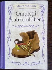 Omuletii sub cerul liber - Mary Norton foto