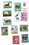 panama animale mnh