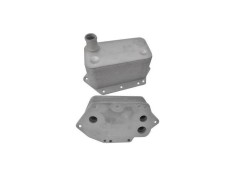 Radiator racire ulei motor, termoflot BMW Seria 3 E46, 2003-2007, Seria 3 E90/E91, E92/E93 2005-2013; Seria 5 E60/E61, 2003-2010, Seria 6 E63/E64; Se