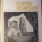 CETATEA NEAMTULUI-RADU POPA-125865
