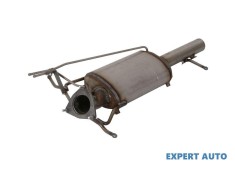 Filtru de particule Land Rover Freelander 2 (2006-2014)[L359]