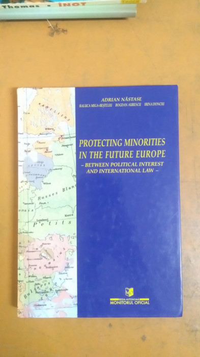 Adrian Năstase, Protecting Minorities in the future Europe, București 2002 065