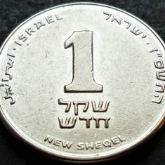 Moneda 1 New Sheqel - ISRAEL, anul 1995 * cod 57 A