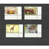 ZAMBIA 2005 FAUNA ANIMALE SALBATICE LEOPARZI GIRAFE BIVOLI