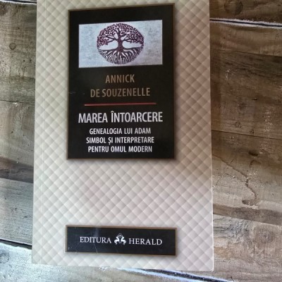 Marea intoarcere - Annick de Souzenelle foto