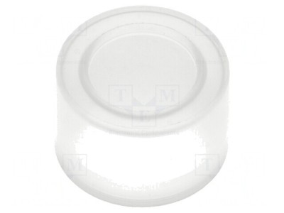 Capison 22mm SIRIUS ACT 25-70&amp;deg;C foto