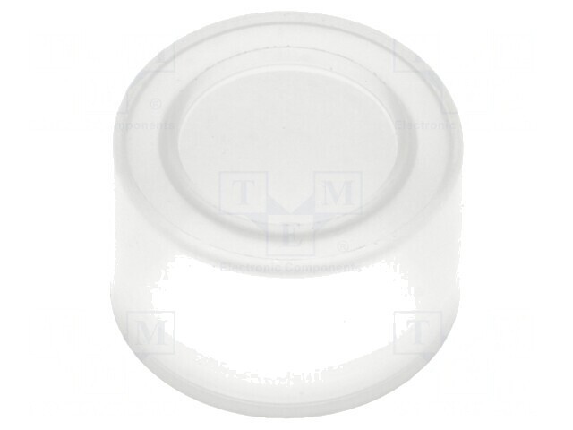Capison 22mm SIRIUS ACT 25-70&deg;C