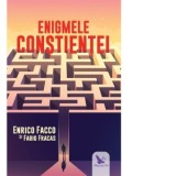 Enigmele constientei - Facco Enrico