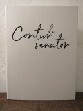 CONTUR DE SENATOR de ROBERT CAZANCIUC si ROMEO RAILEANU , 2020