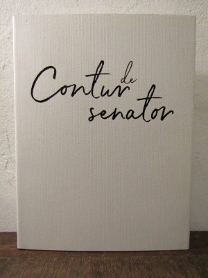 CONTUR DE SENATOR de ROBERT CAZANCIUC si ROMEO RAILEANU , 2020 foto