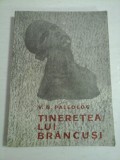 Cumpara ieftin TINERETEA LUI BRANCUSI - V. G. PALEOLOG
