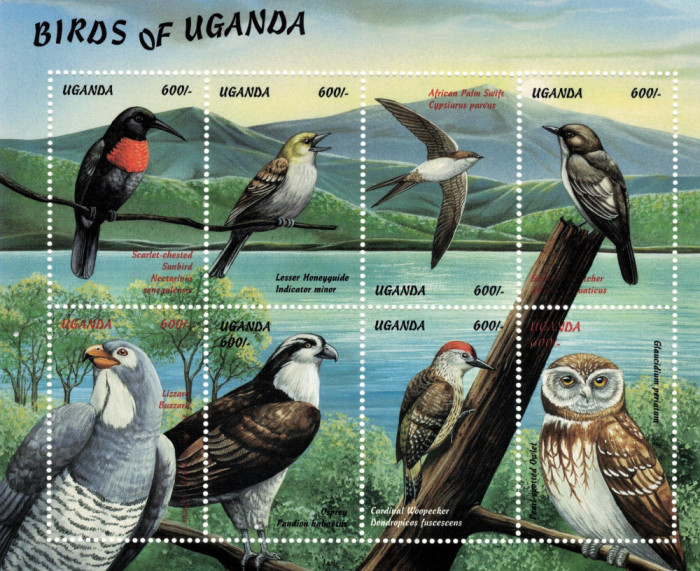 UGANDA 1999 - Pasari /set MNH - colita si blocuri [3 imagini]