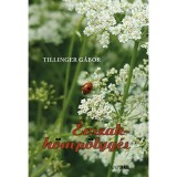 &Eacute;vszakh&ouml;mp&ouml;lyg&eacute;s - Tillinger G&aacute;bor