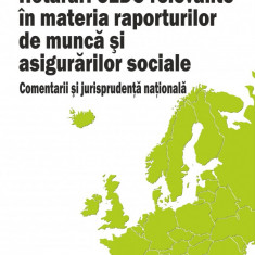 Hotarari CEDO relevante in materia raporturilor de munca si asigurarilor sociale | Razvan Anghel