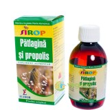 Sirop Patlagina si Propolis 200ml