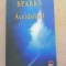 Accidentul - Nicholas Sparks, roman de dragoste.