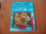 RELIGIA IN INTREBARI SI RASPUNSURI CLASELE 5 - 8 , COLECTIA COPILARIA, Clasa 5, Religie