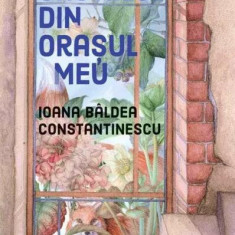 Castelul din orașul meu (Carte cu autograf) - Paperback brosat - Ioana Bâldea Constantinescu - Litera