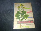 BOTANICA MANUAL PENTRU CLASA A V A 1965