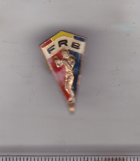 bnk ins Insigna Federatia romana de box - dupa 1989
